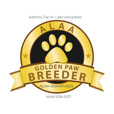 ALAA Gold Paw Breeder 2026–2027