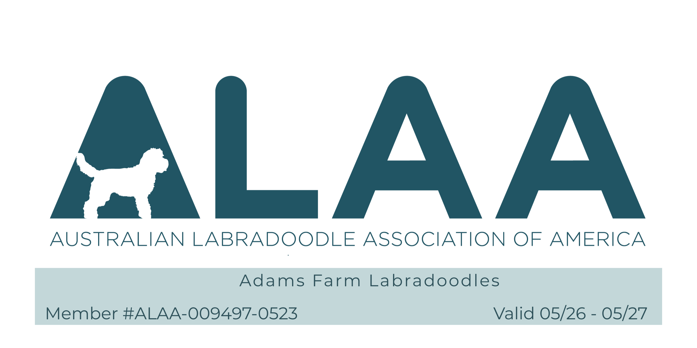 ALAA Member 2026