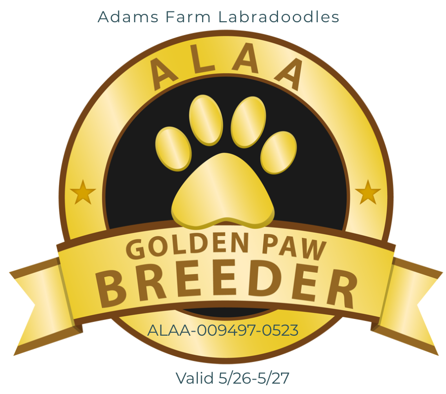 ALAA Gold Paw Breeder 2026–2027