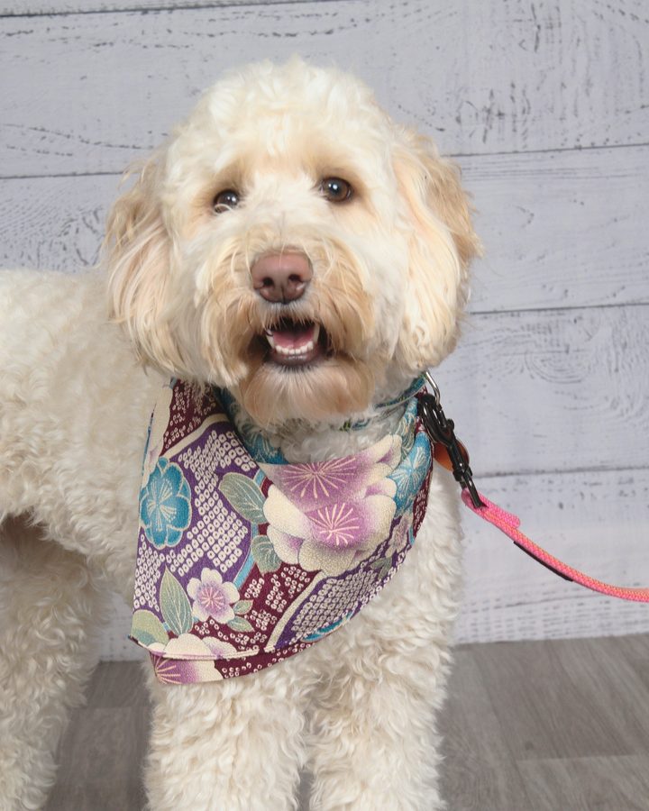 Winnie photo