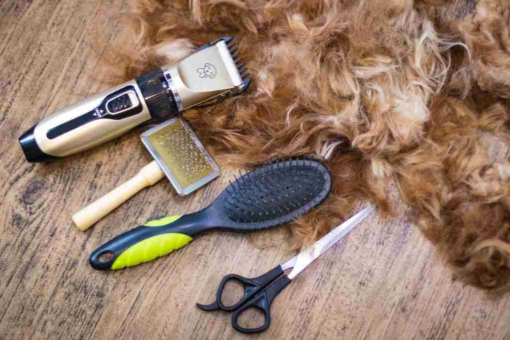 Dog Grooming Tool Set and trimmed wool on wooden background.